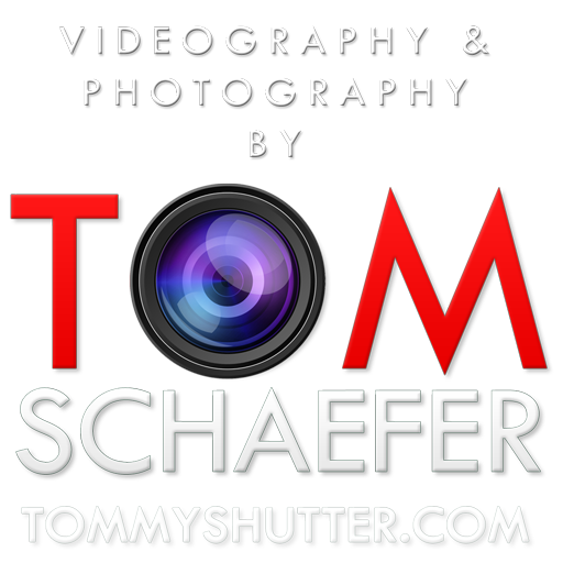 tommyshutter.com