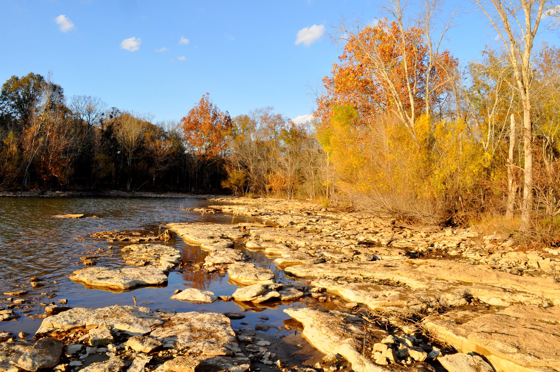 A rocky lake shore under autumn trees