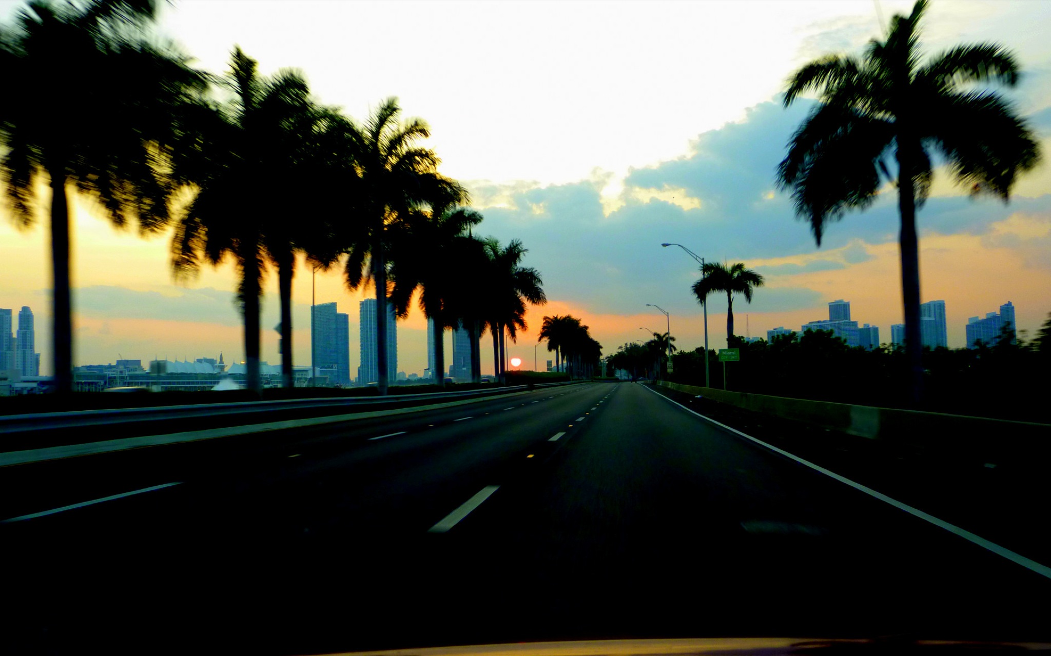 Royal palms lining a causeway road into the city at dusk