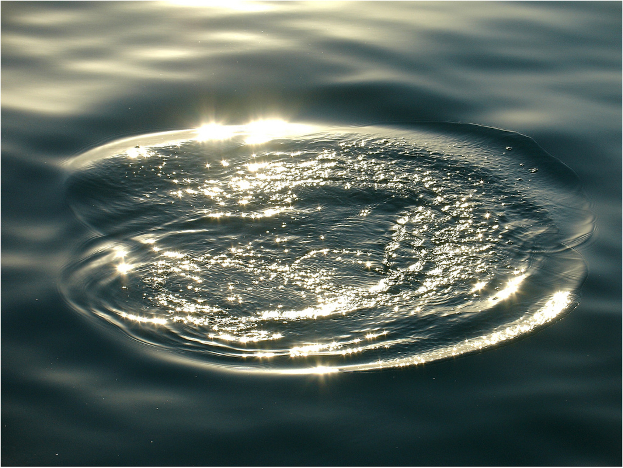 Light on still water, one ring spreading outward
